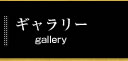 ギャラリー